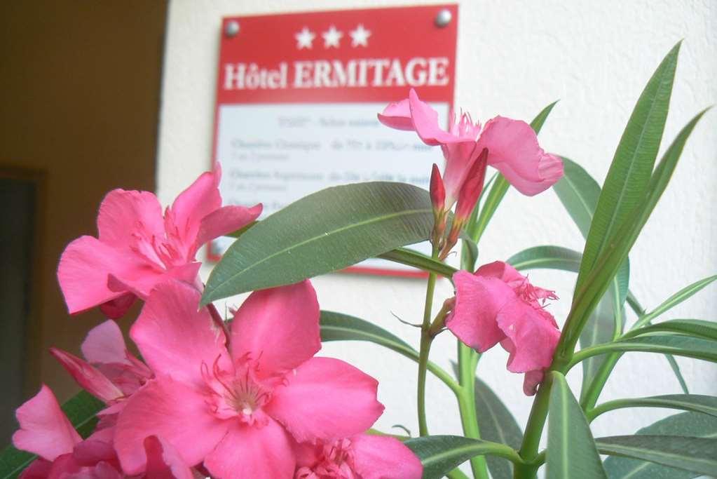 Hotel Ermitage Les Angles  Зручності фото